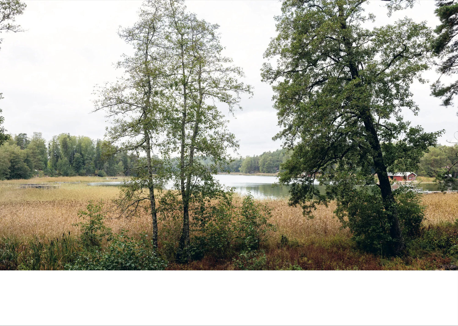 SAARTEN SYLEILEMÄT - UNIIKIT SAARIMÖKIT